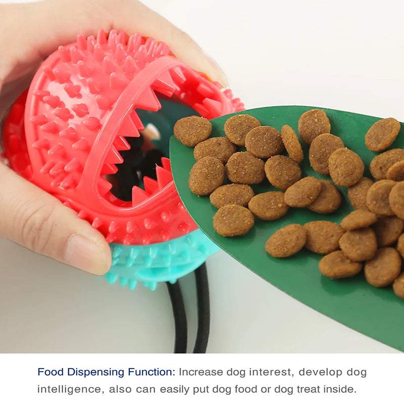 Interactive Dog Chew Ball