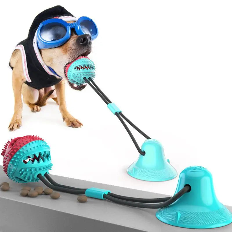 Interactive Dog Chew Ball