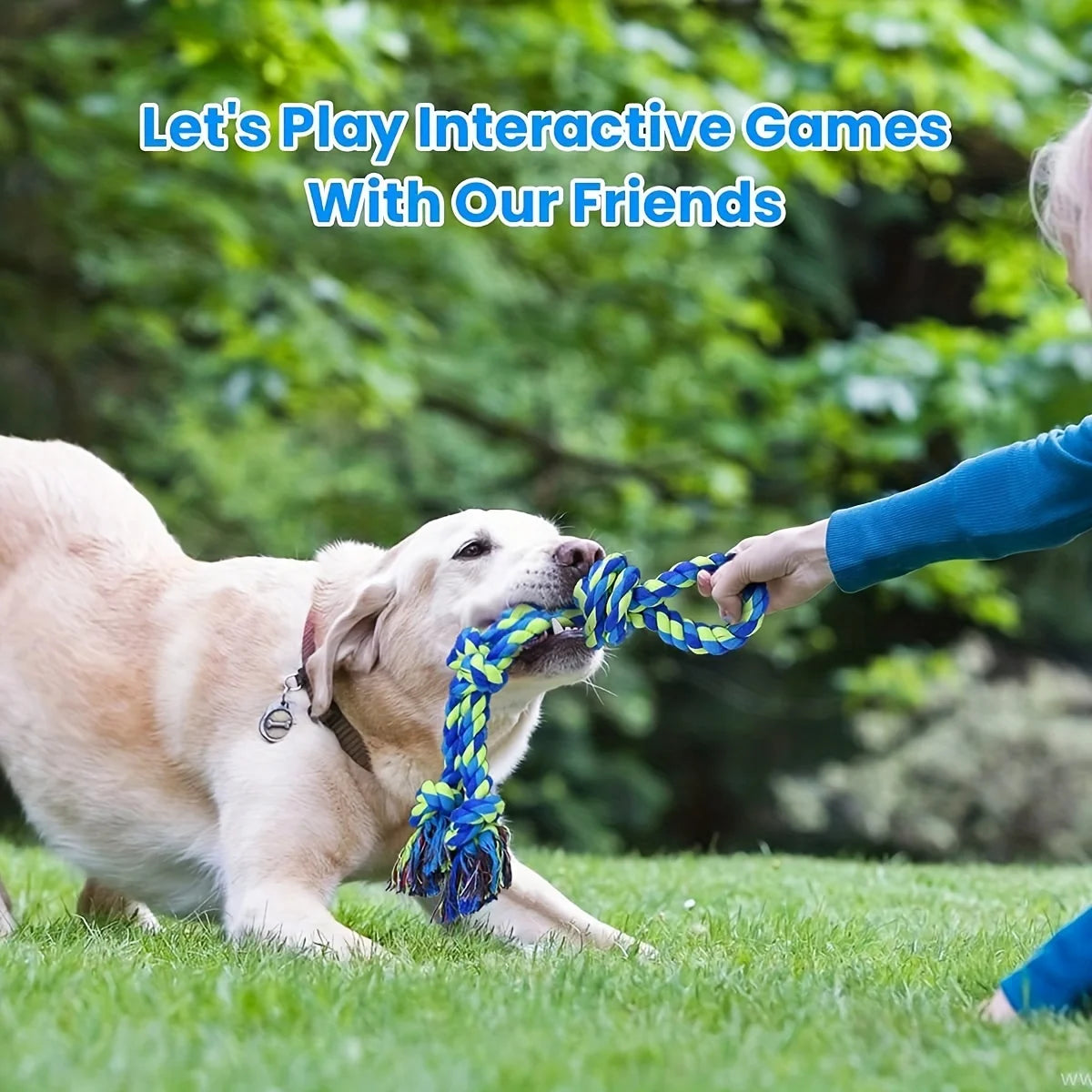 Rope Knot Dog Toy
