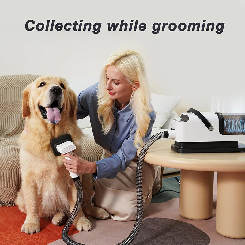 Multifunctional Pet Dryer