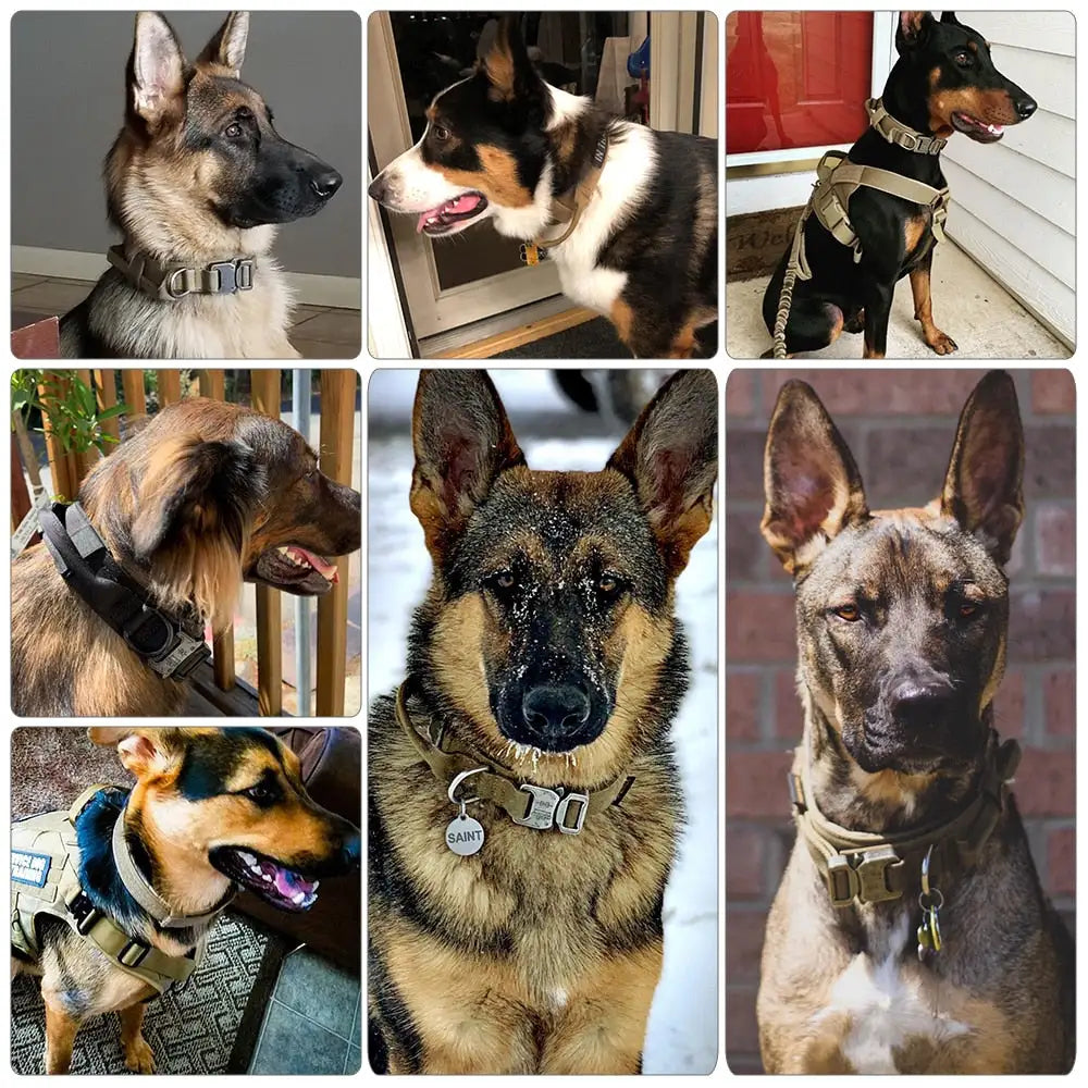 Tactical Pet Collar