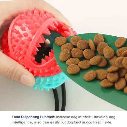 Interactive Dog Chew Ball
