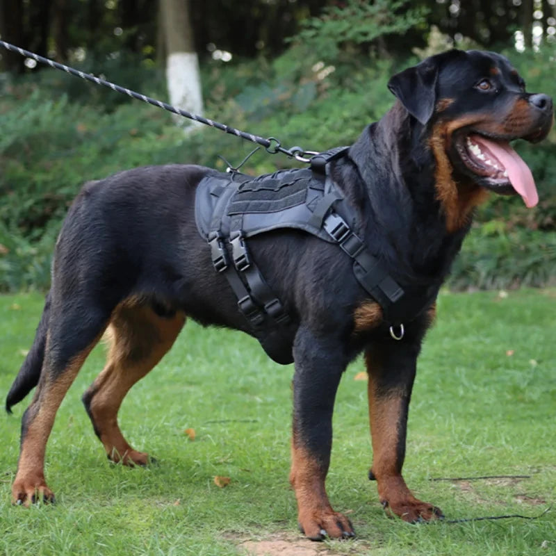 Retractable Chest Strap