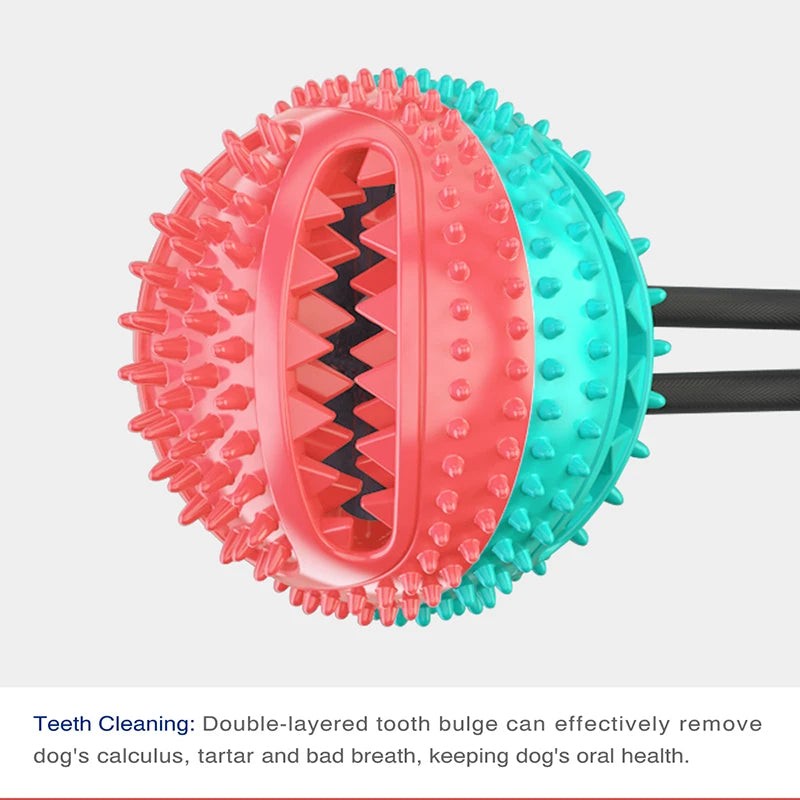 Interactive Dog Chew Ball