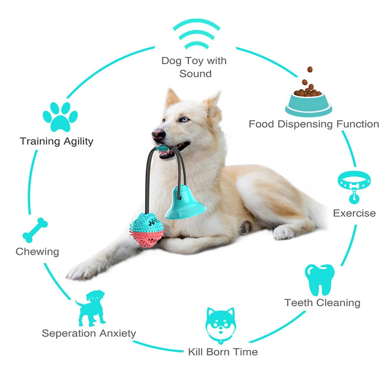 Interactive Dog Chew Ball