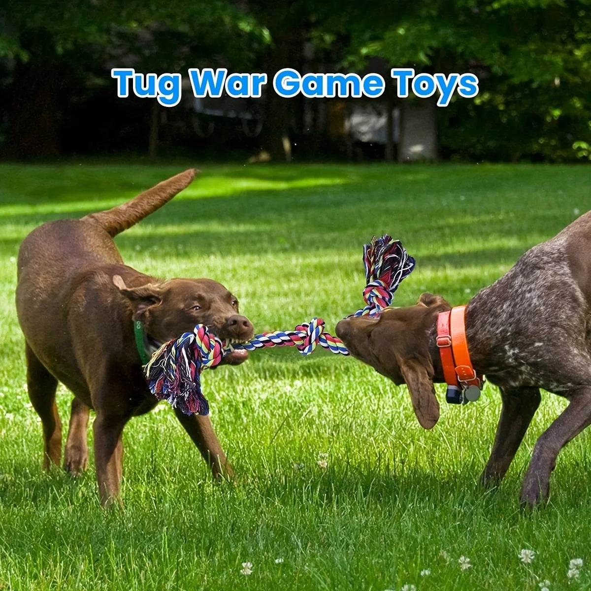 Rope Knot Dog Toy