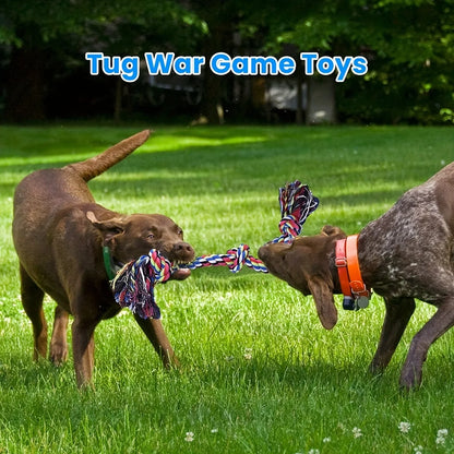 Rope Knot Dog Toy