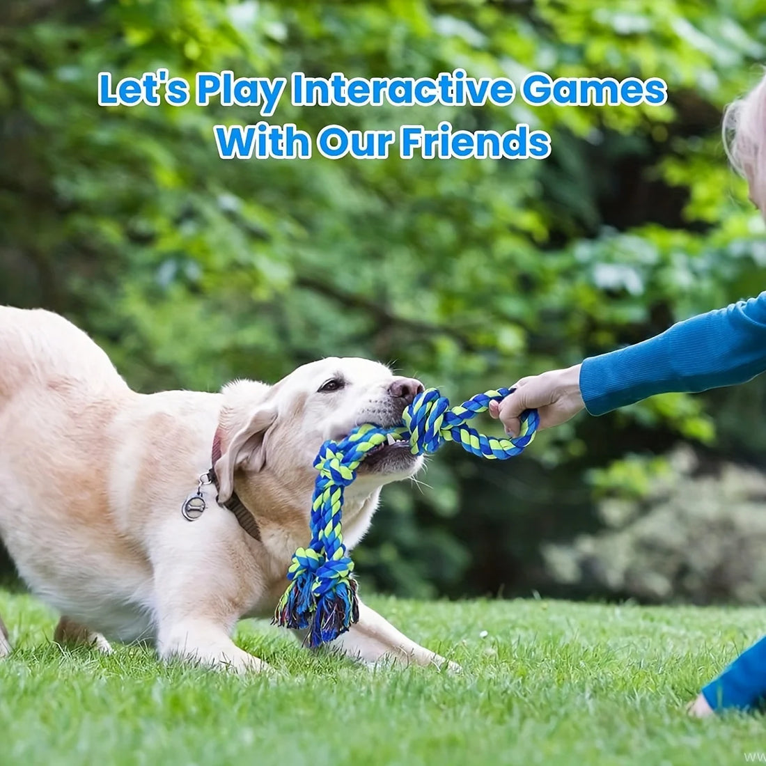 Rope Knot Dog Toy