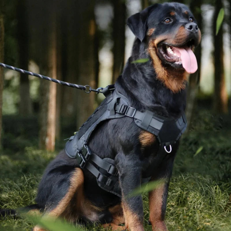 Retractable Chest Strap