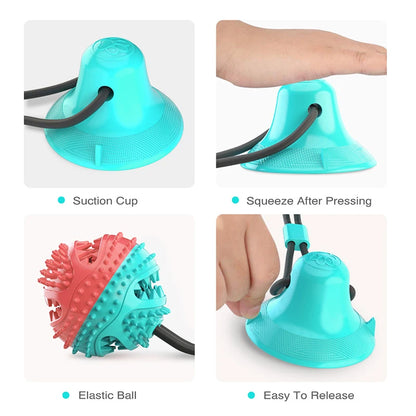 Interactive Dog Chew Ball