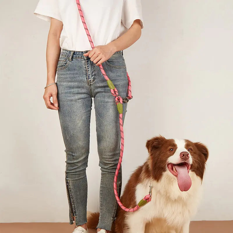 Reflective Safety Leash